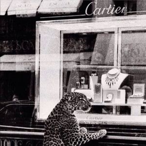 Meet your Posher, Jasmine